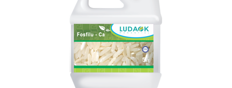 FOSFILU – CA