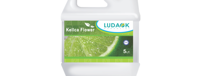 Kellca Flower