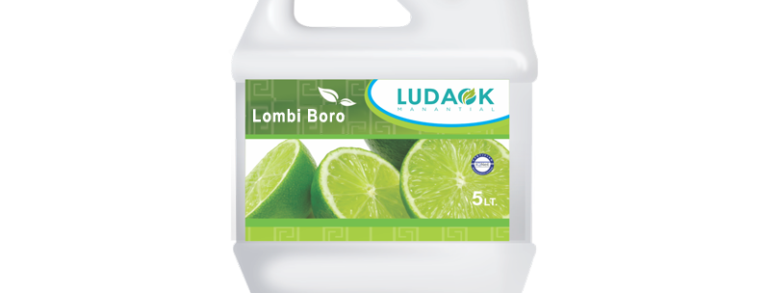 LOMBI BORO