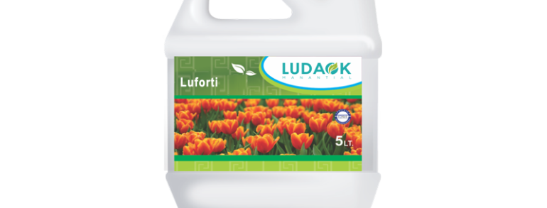 LUFORTI