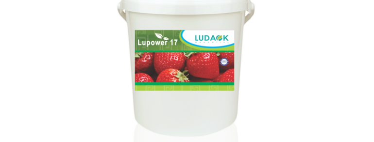 LUPOWER 17